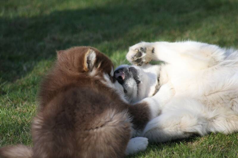 There's nothing like a cuddle from your grand-mother!!