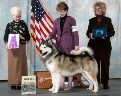 Charger with his owner Karen Taylor - clik for Charger's page