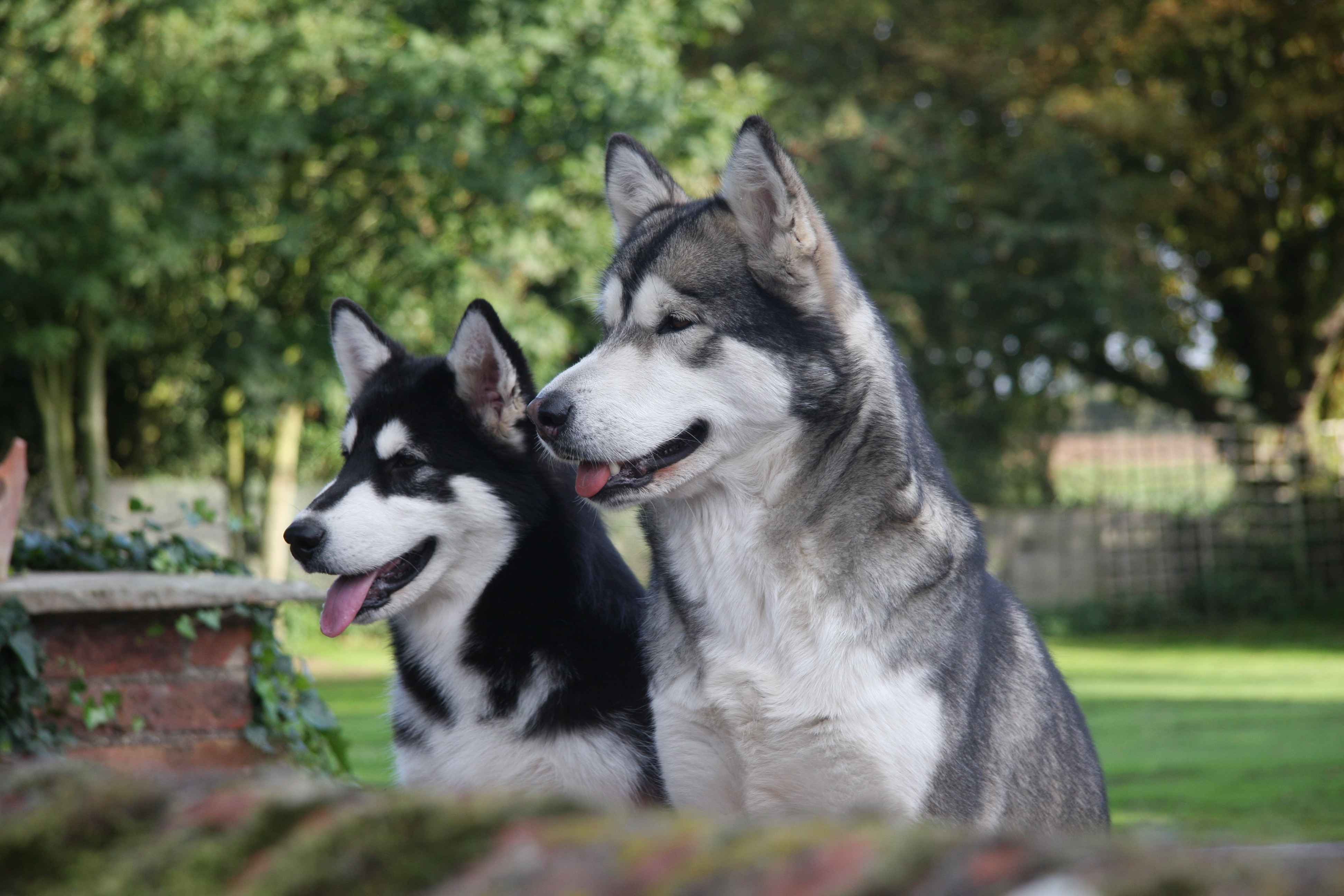 Kisi & daughter Spook