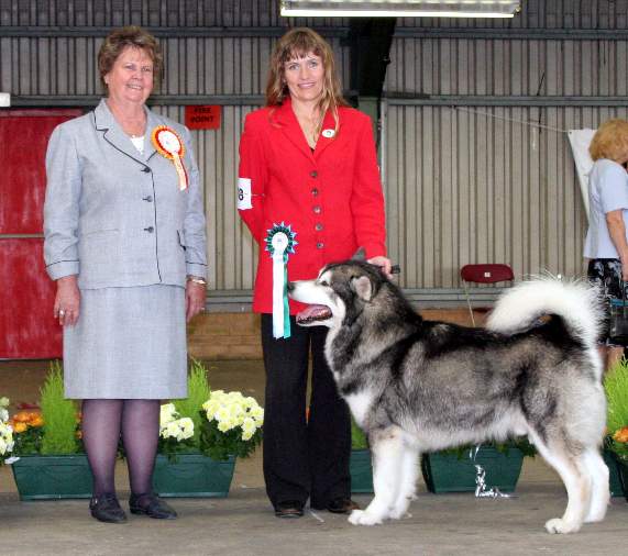 Timber winning RCC & BVIS under US breed specialist Judge, Sharon Weston (Rogue)