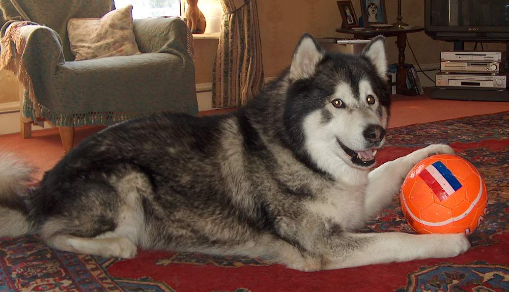 With his favourite football