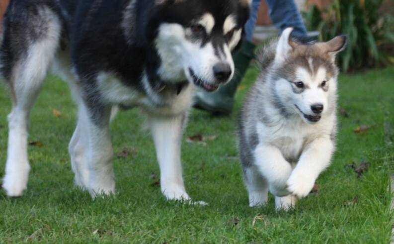 Monty with mum Millie