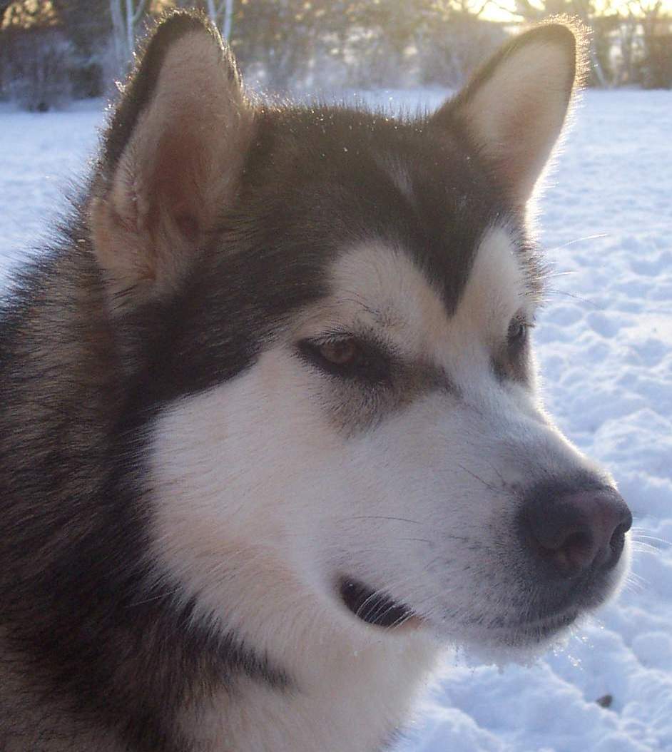 Wanda at 10 months of age